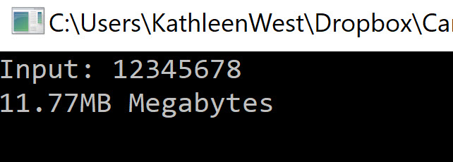 Console Output